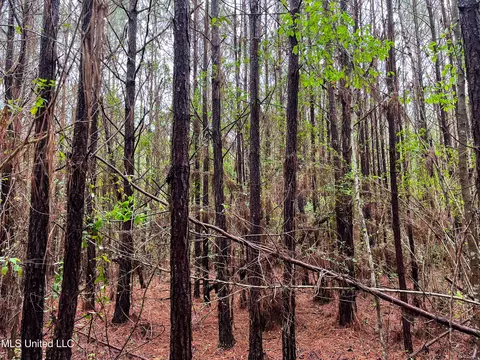 Pine Bluff Road, Decatur, MS 39327 photo 38