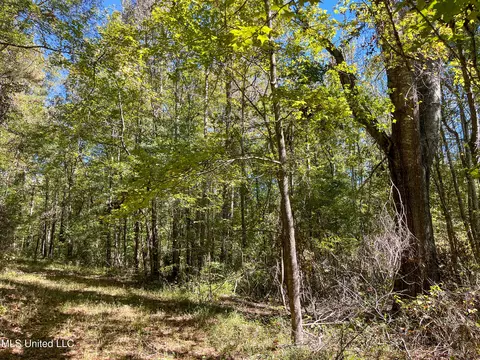 Pine Bluff Road, Decatur, MS 39327 photo 25