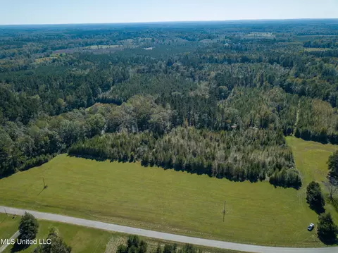 Pine Bluff Road, Decatur, MS 39327 photo 5
