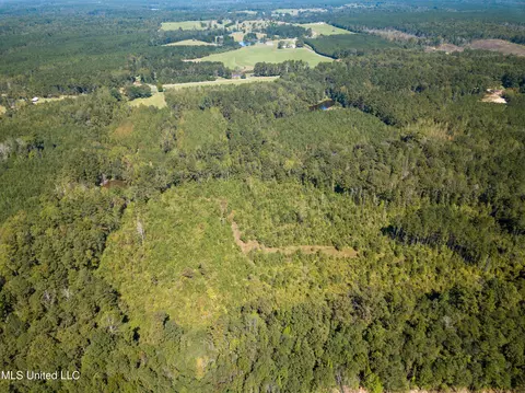 Pine Bluff Road, Decatur, MS 39327 photo 10
