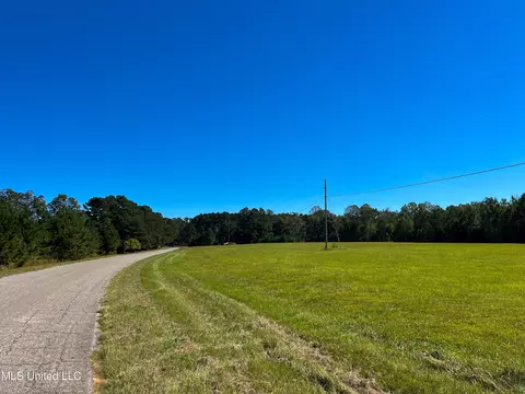 Pine Bluff Road, Decatur, MS 39327 photo 9