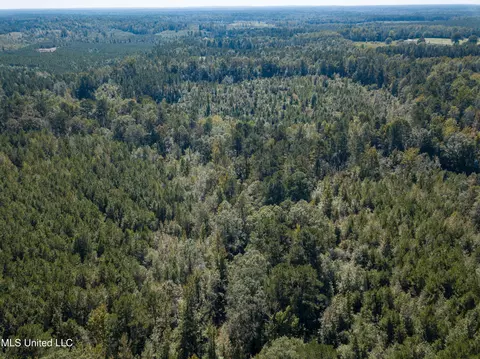 Pine Bluff Road, Decatur, MS 39327 photo 18