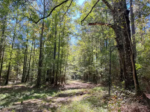 Pine Bluff Road, Decatur, MS 39327 photo 26