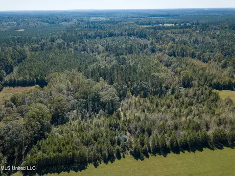 Pine Bluff Road, Decatur, MS 39327 photo 15