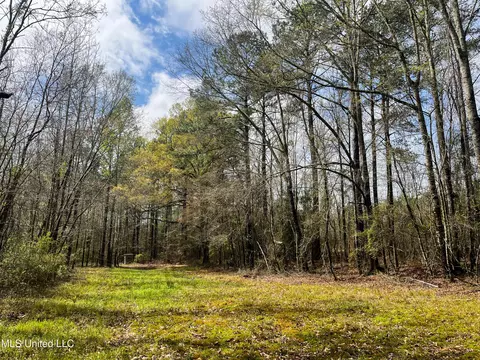 Pine Bluff Road, Decatur, MS 39327 photo 30