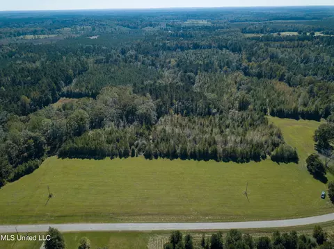 Pine Bluff Road, Decatur, MS 39327 photo 13