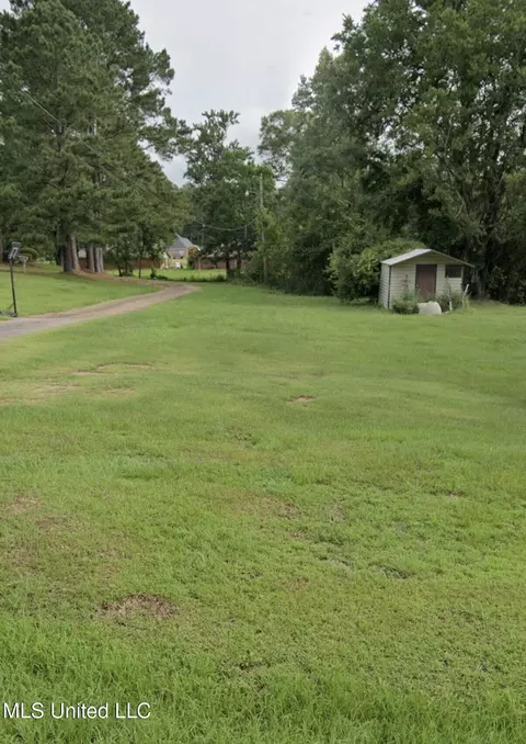 Plum Street, Summit, MS 39666 photo 2