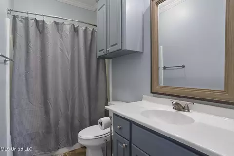 Bath - 211 Jacks Pl, Brandon, MS 39047 photo 3 of 3