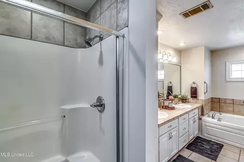 Bath - 254 Waldrop Rd, Flora, MS 39071 photo 5 of 5