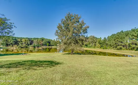 Other - 254 Waldrop Rd, Flora, MS 39071 photo 9 of 9