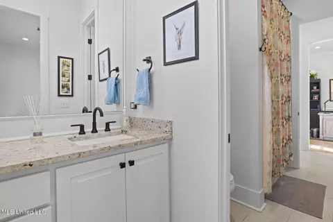 Bath - 413 W Oak Cir, Madison, MS 39110 photo 6 of 8