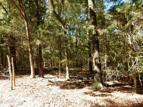 lot1 N Crockett Rd, Senatobia, MS 38668