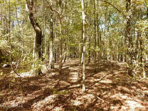lot2 N Crockett Rd, Senatobia, MS 38668