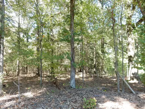 lot3 N Crockett Rd, Senatobia, MS 38668