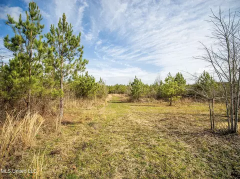 0 River Bend Rd, Lena, MS 39094 photo 23