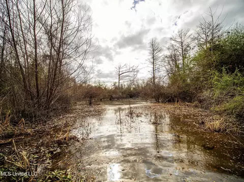 0 River Bend Rd, Lena, MS 39094 photo 13