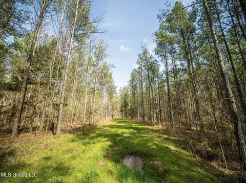 0 River Bend Rd, Lena, MS 39094 photo 18
