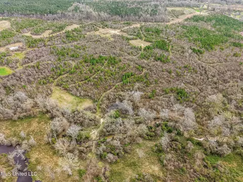0 River Bend Rd, Lena, MS 39094 photo 12