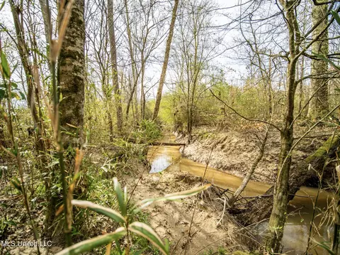 0 River Bend Rd, Lena, MS 39094 photo 14
