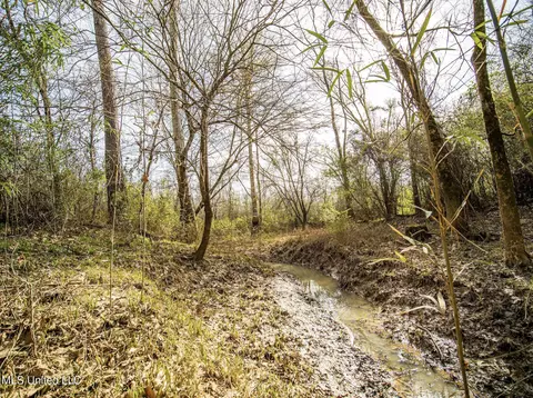0 River Bend Rd, Lena, MS 39094 photo 9