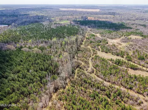 0 River Bend Rd, Lena, MS 39094 photo 5