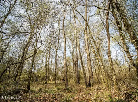 0 River Bend Rd, Lena, MS 39094 photo 7