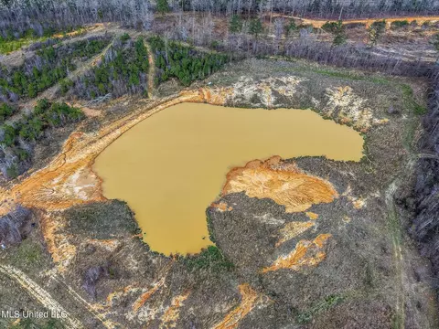 0 River Bend Rd, Lena, MS 39094 photo 26