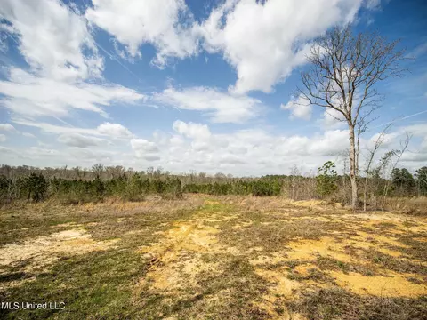 0 River Bend Rd, Lena, MS 39094 photo 20