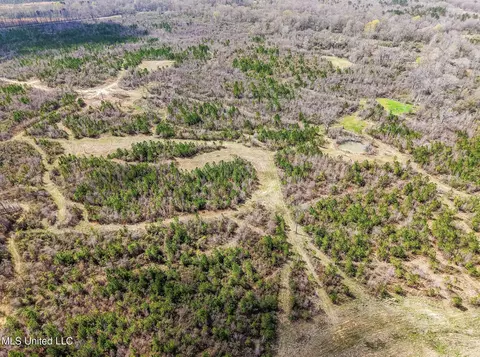 0 River Bend Rd, Lena, MS 39094 photo 4