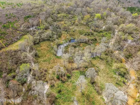 0 River Bend Rd, Lena, MS 39094 photo 10