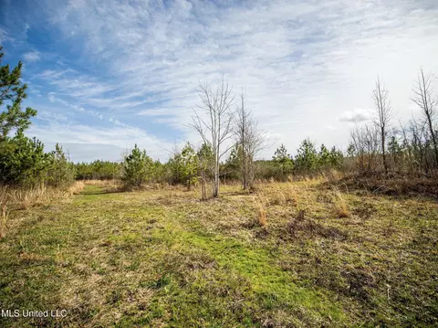 0 River Bend Rd, Lena, MS 39094 photo 22