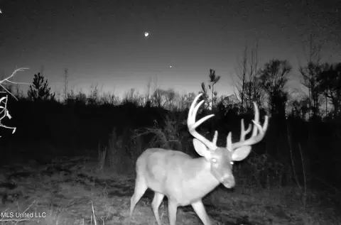0 River Bend Rd, Lena, MS 39094