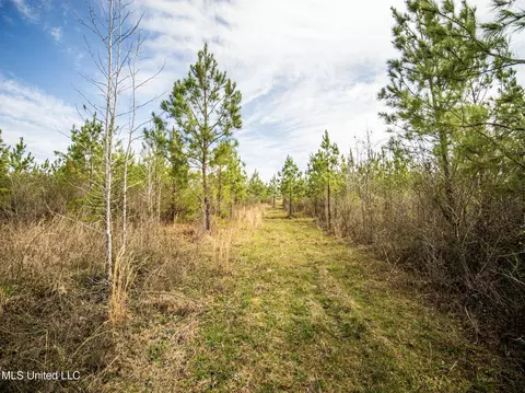0 River Bend Rd, Lena, MS 39094 photo 24