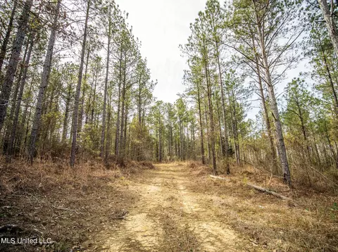 0 River Bend Rd, Lena, MS 39094 photo 15