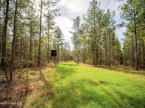 0 River Bend Rd, Lena, MS 39094 photo 17