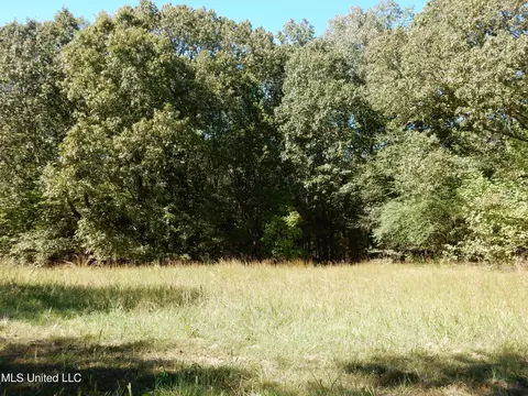 lot4 N Crockett Rd, Senatobia, MS 38668