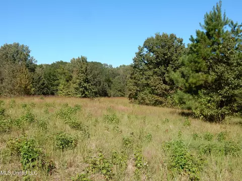 lot7 N Crockett Rd, Senatobia, MS 38668