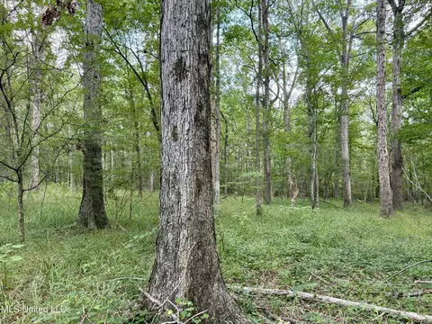 00006 Old Red Star Rd, Wesson, MS 39191 photo 24