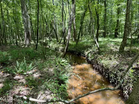 00006 Old Red Star Rd, Wesson, MS 39191 photo 28