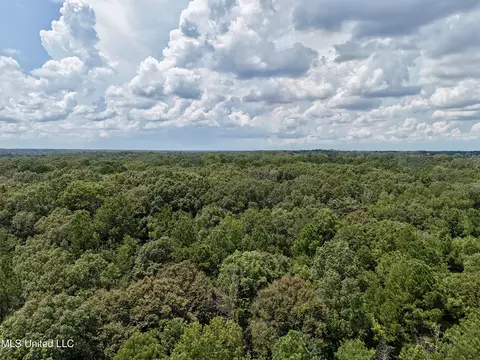 00006 Old Red Star Rd, Wesson, MS 39191 photo 26