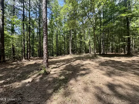 00006 Old Red Star Rd, Wesson, MS 39191 photo 25