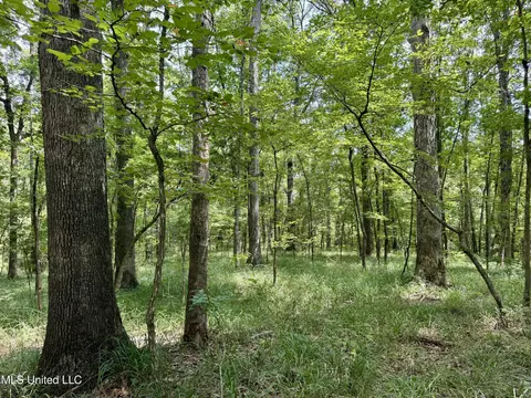 00006 Old Red Star Rd, Wesson, MS 39191 photo 10