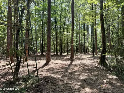 00006 Old Red Star Rd, Wesson, MS 39191 photo 18