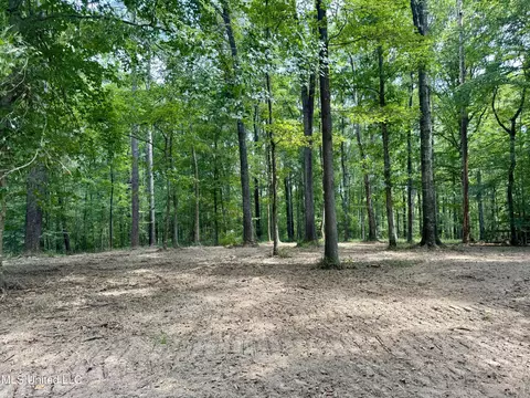 00006 Old Red Star Rd, Wesson, MS 39191 photo 30