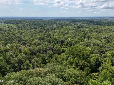 00006 Old Red Star Rd, Wesson, MS 39191 photo 15