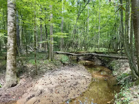 00006 Old Red Star Rd, Wesson, MS 39191 photo 22