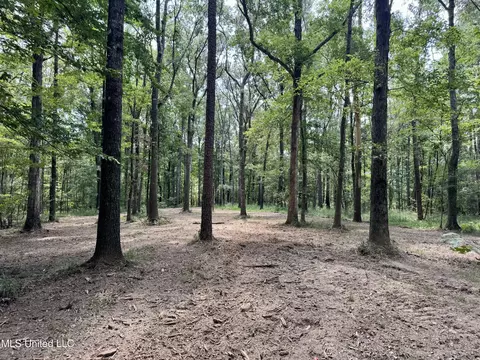 00006 Old Red Star Rd, Wesson, MS 39191 photo 12