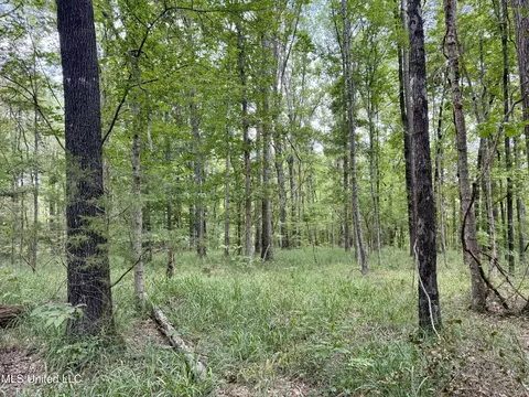 00006 Old Red Star Rd, Wesson, MS 39191 photo 16