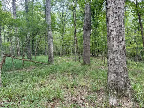 00006 Old Red Star Rd, Wesson, MS 39191 photo 27
