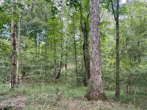 00006 Old Red Star Rd, Wesson, MS 39191 photo 11